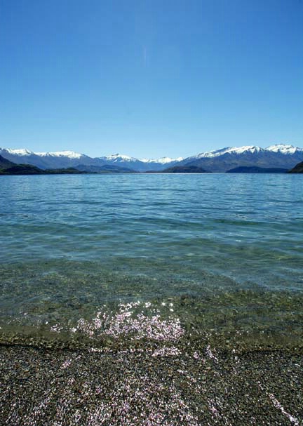Lake Wanaka, NZ