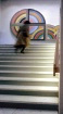 Stairway#2