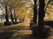 Fall#1