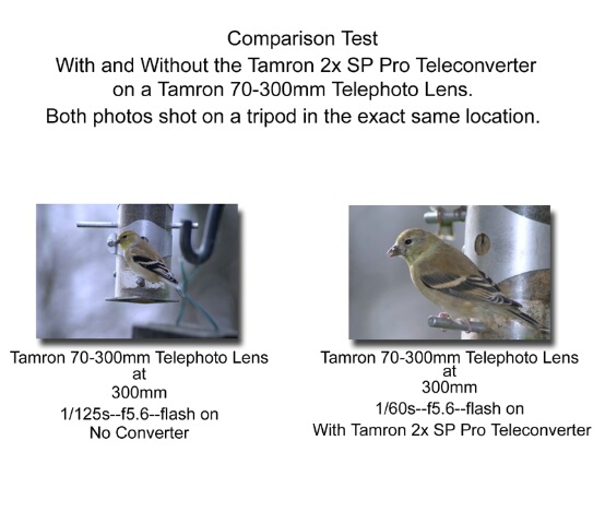 Tamron 2x SP Pro Teleconverter Comparison - ID: 235310 © Rhonda Maurer