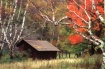 Respite in the Wo...