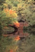 Ashville bridge (...