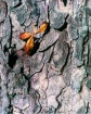 Fall#6