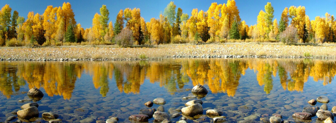 Photography Contest Grand Prize Winner - Down The Shores Of Shallow River