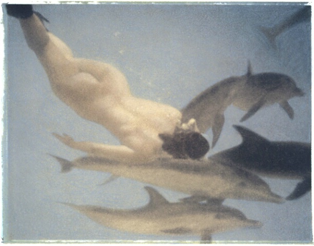 Nude and Dolphins
