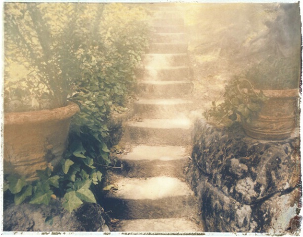 Steps II