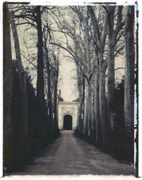 Lane, Boboli Gardens, Florence