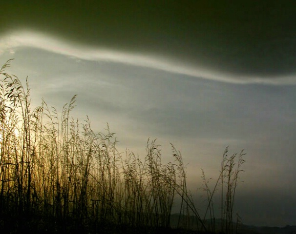 Sunset & the Tall Grasses