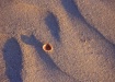 Sand shadows