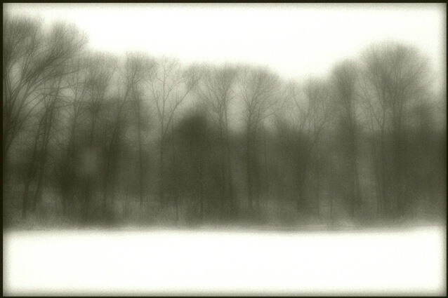Snow Dreams - ID: 242330 © Sharon E. Lowe