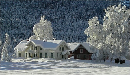 Winter Farm