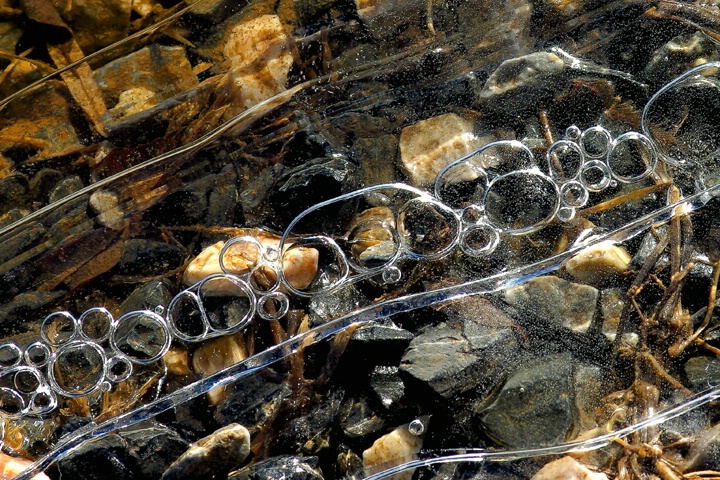 Bubbles Under Ice