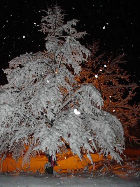 Winter in Vermont II