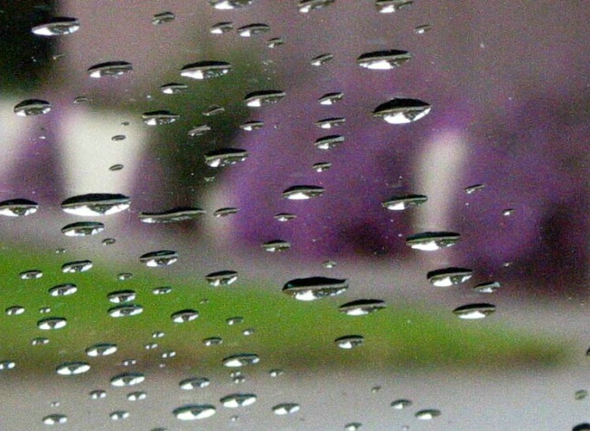 Rain, finally! - ID: 246684 © Hasmik Hatamian
