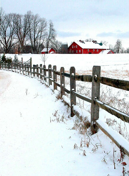 Beyond the Fence