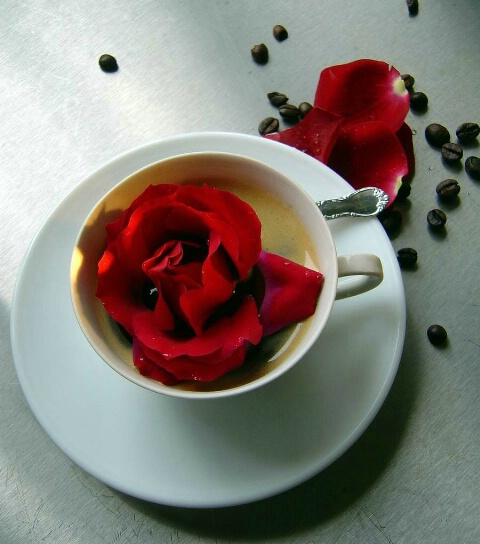 I  MADE THIS COFFE  FOR YOU: WITH LOVE