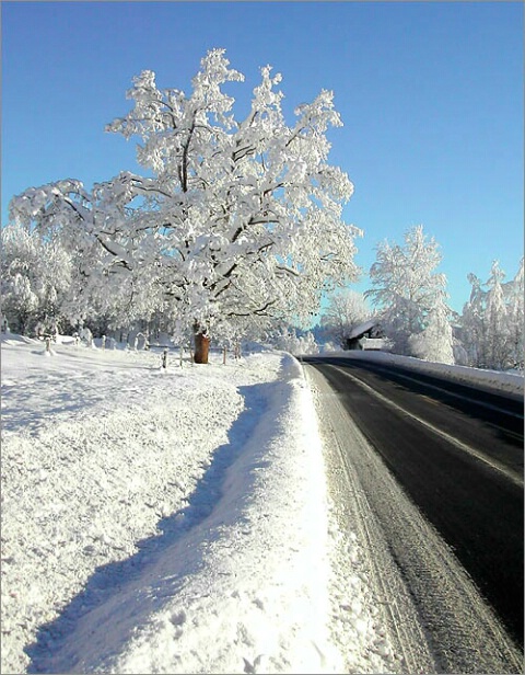 Winter road