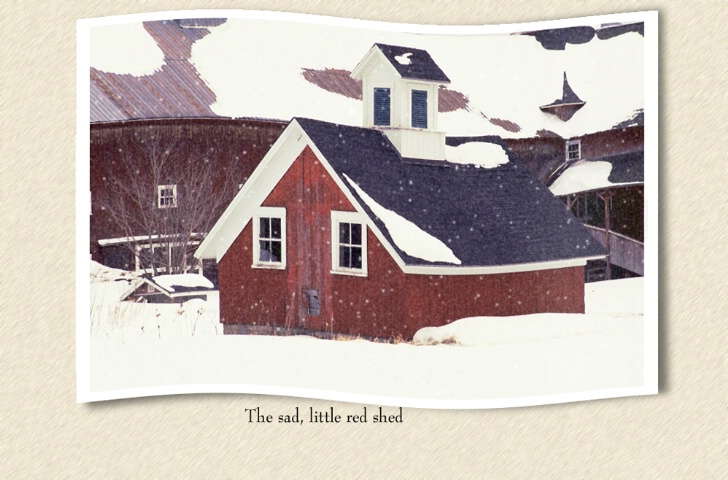 The sad, little red shed