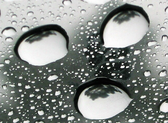 Rain drops-3 - ID: 251450 © Hasmik Hatamian