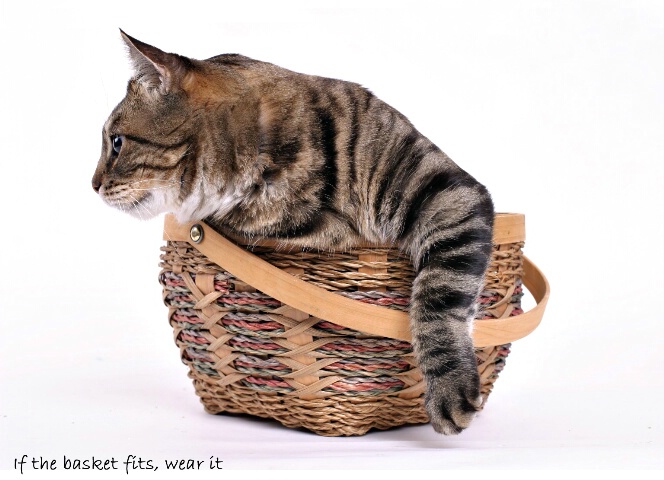 If the basket fits, wear it