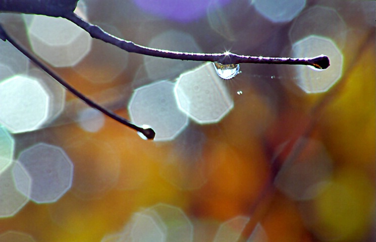 Waterdrops and Highlights