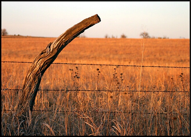 Kansas