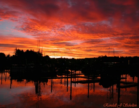 Docks at Dawn