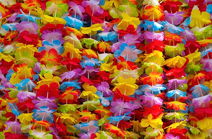 Flowers On A String