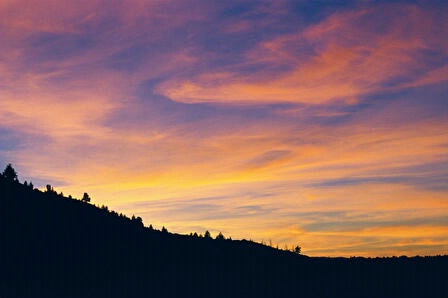 Desert Sunset