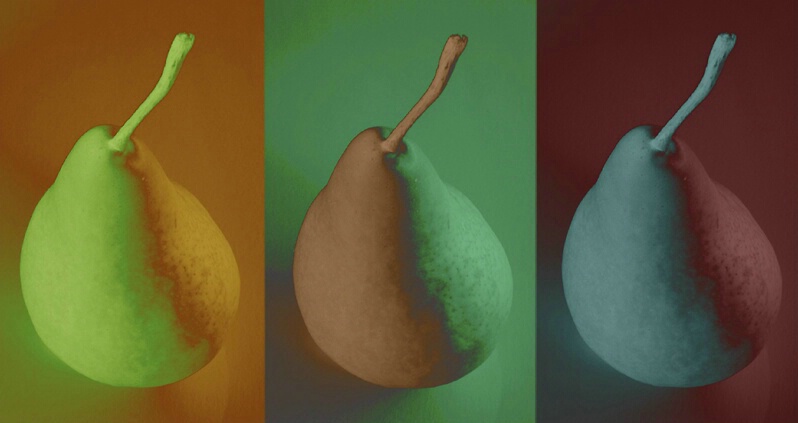 A Study in Pears - ID: 265282 © Sandra Hardt