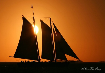 Sunset sail