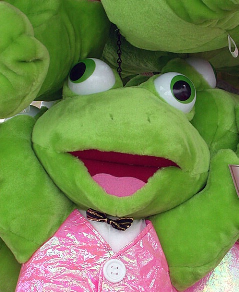 Kermit - ID: 280249 © Paul Coco