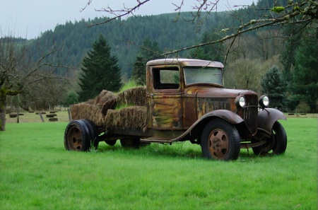out to pasture