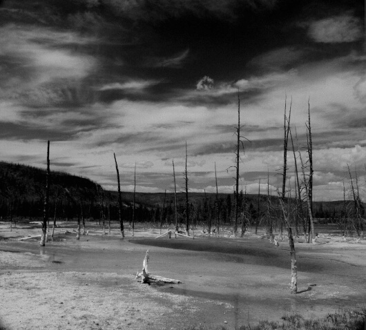 Yellowstone_3 - ID: 281936 © Karen Johnson