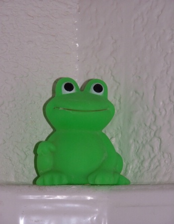 Brandon's frog