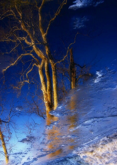 Puddle Reflection