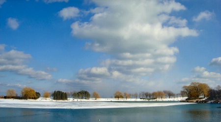 Snowy Winter Panorama
