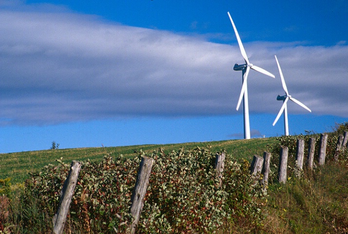 The windmills