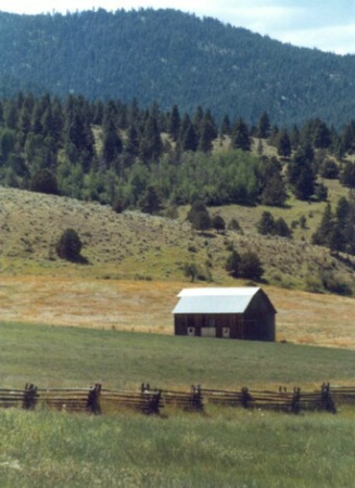 country setting