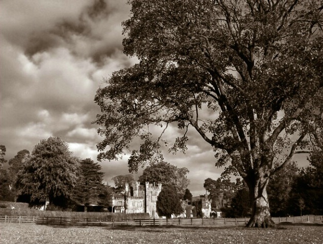 Manor, Tree and Sky