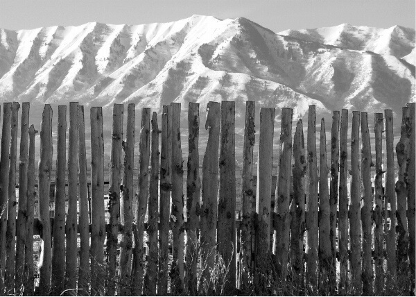 Fence Line