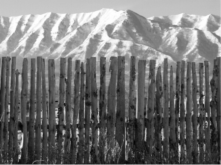 Fence Line