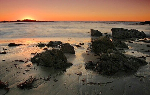 Pebble Beach Delight