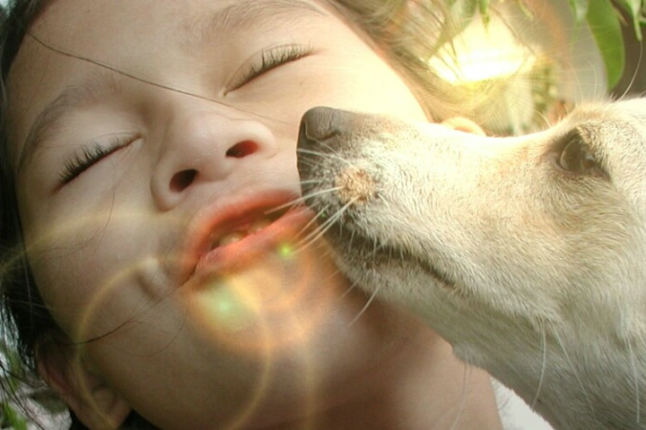 Sunny Kisses