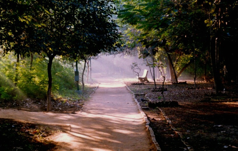 Morning in a Lonely Park