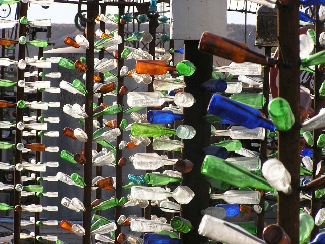 Bottle Tree Forest