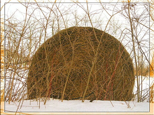 Winter Hay