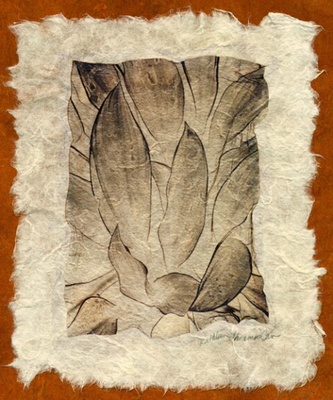 Leaves (negative on handmade paper)
