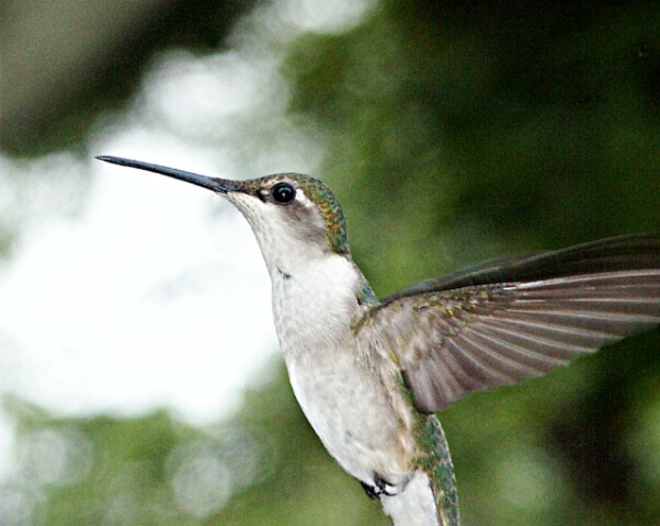 Searching for Supper