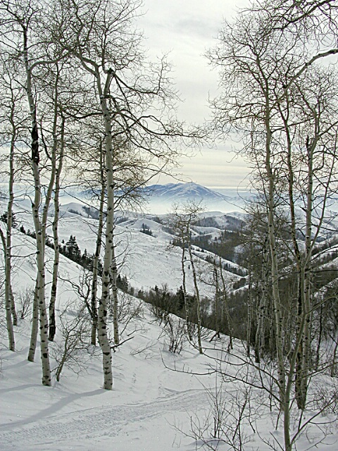 Snow Trail